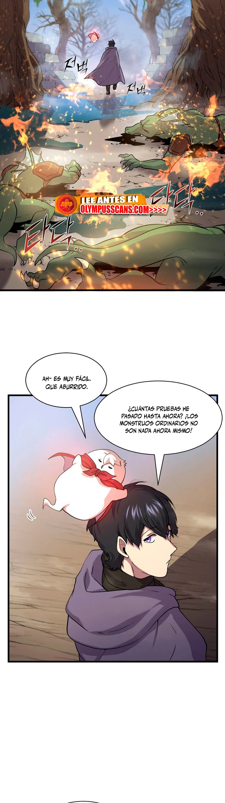 Página 26