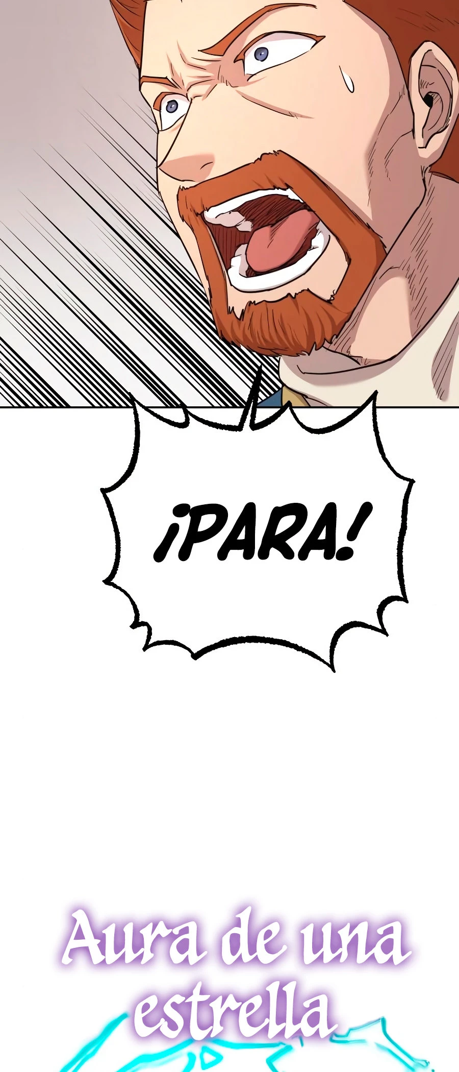 Página 45