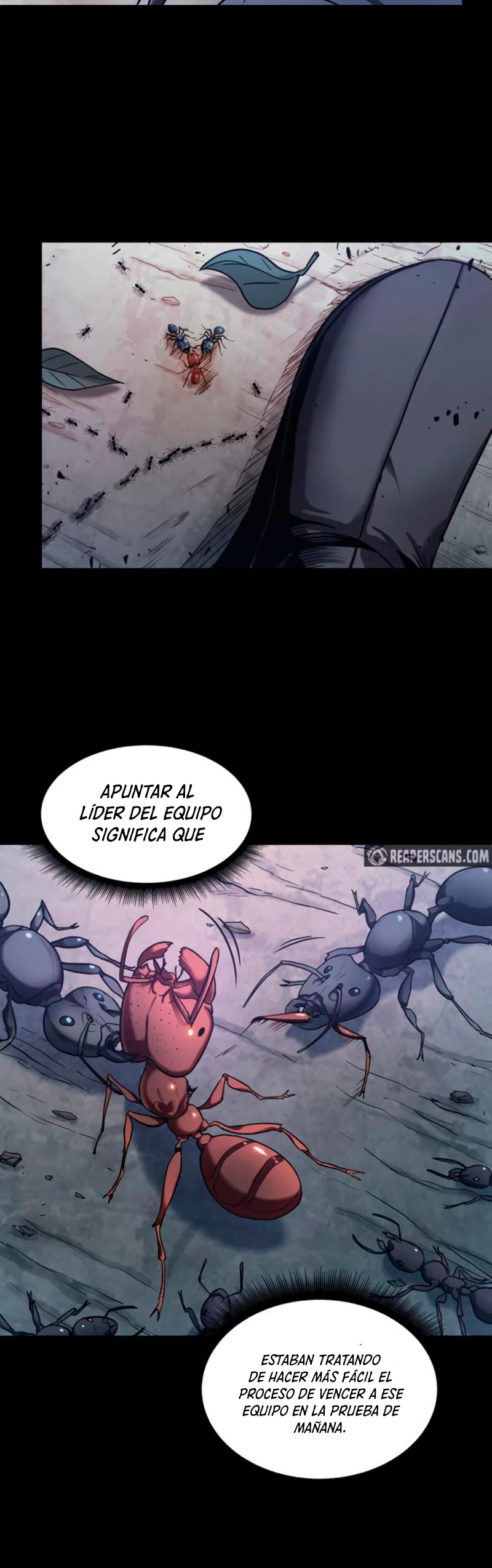 Página 14