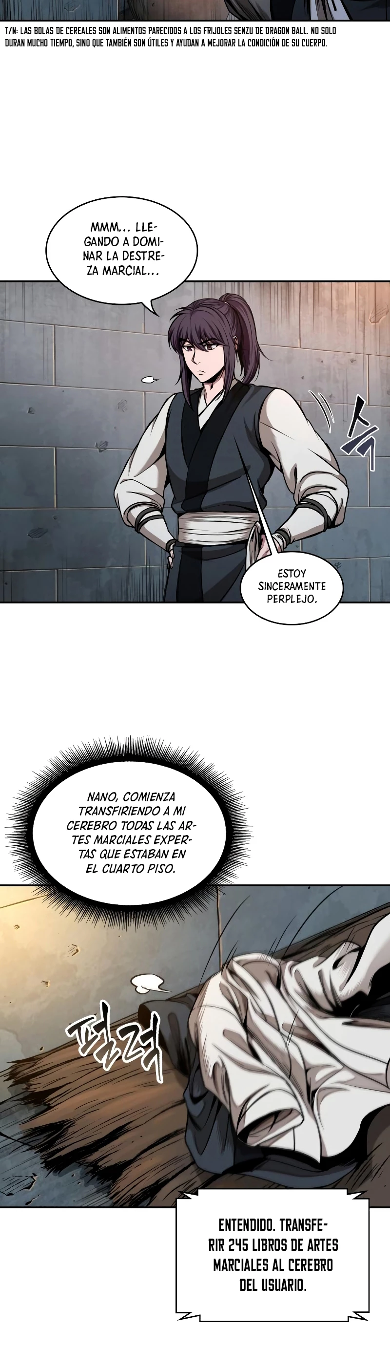 Página 17