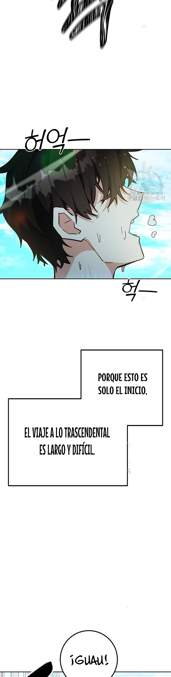 Página 43