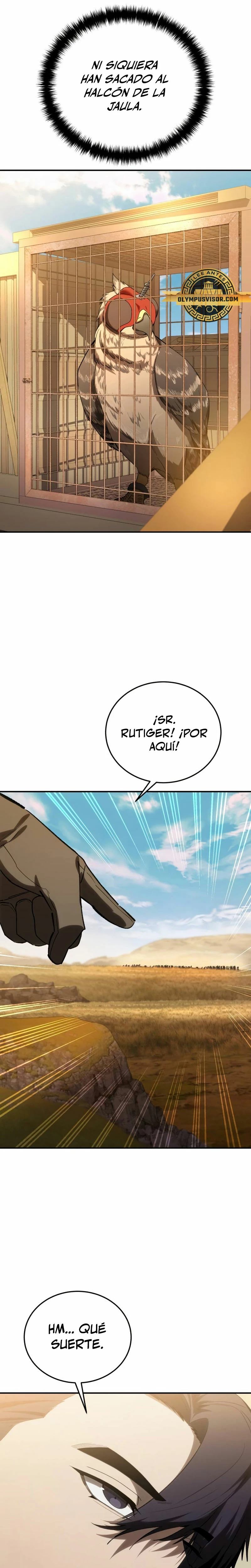 Página 41