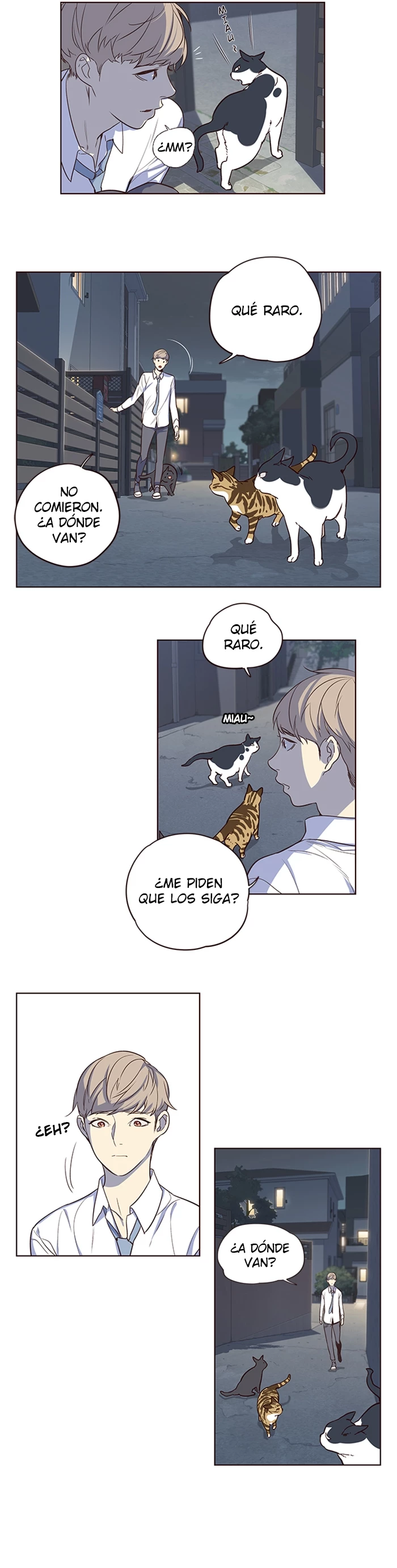 Página 17