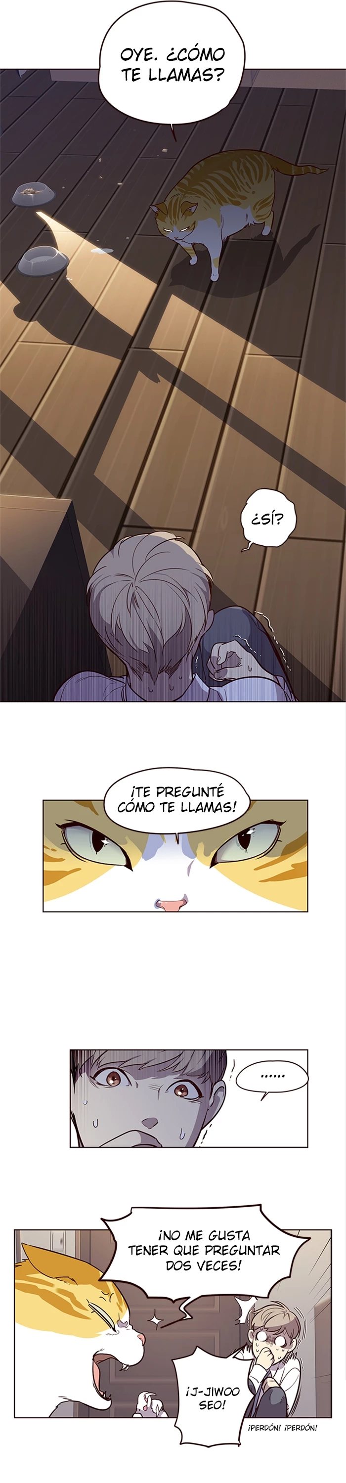 Página 31