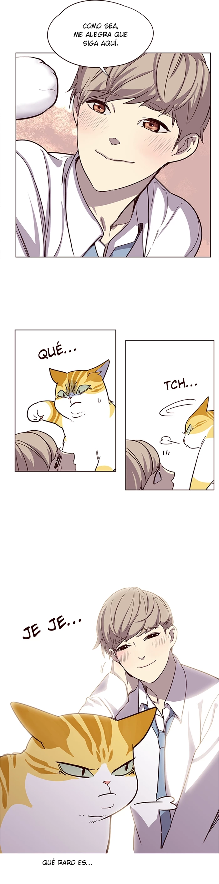 Página 5