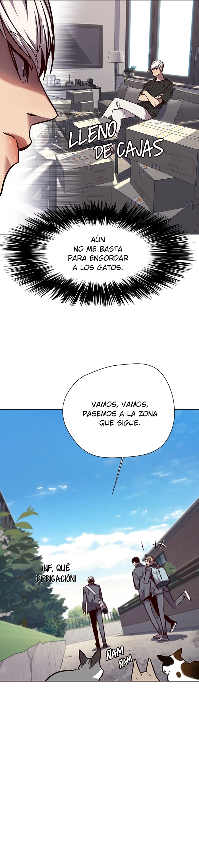 Página 11