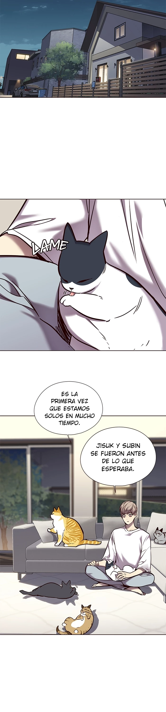 Página 43