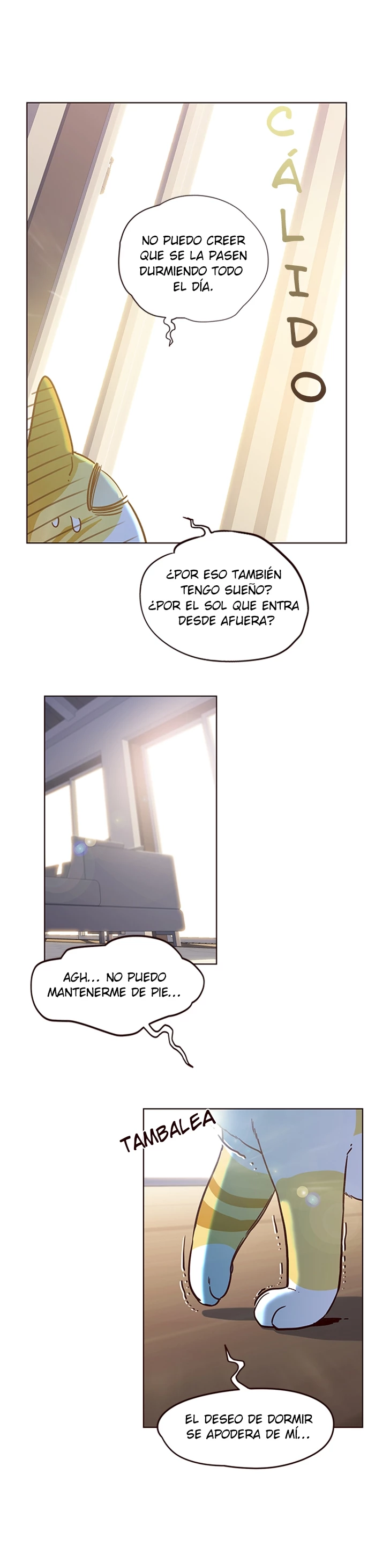 Página 12