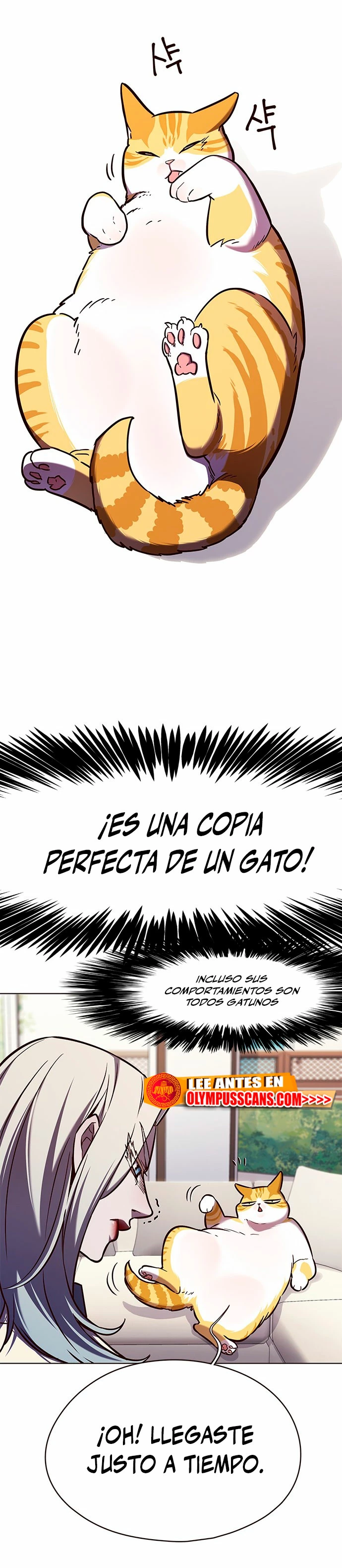 Página 24