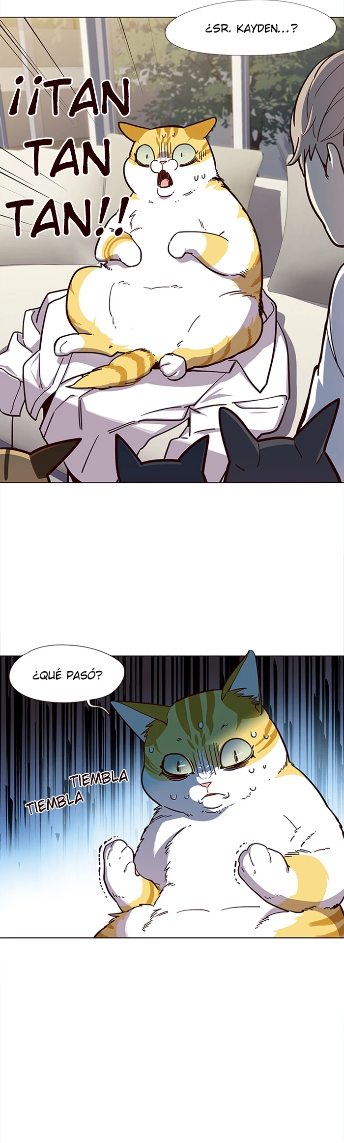 Página 31