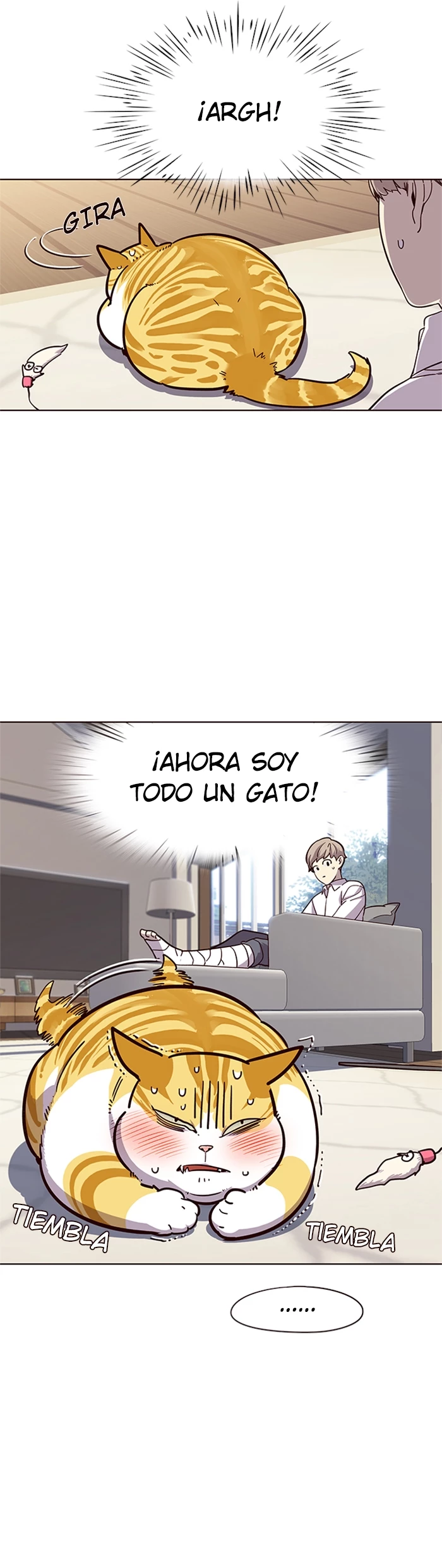 Página 15