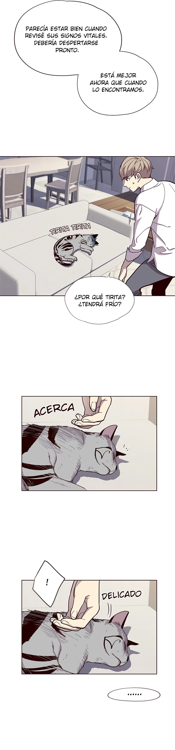 Página 17