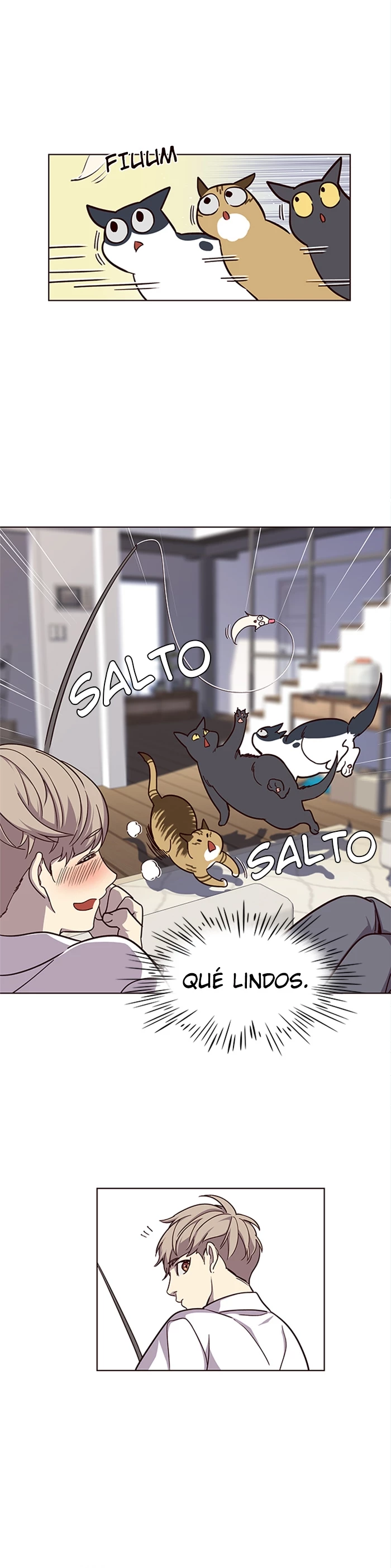 Página 5
