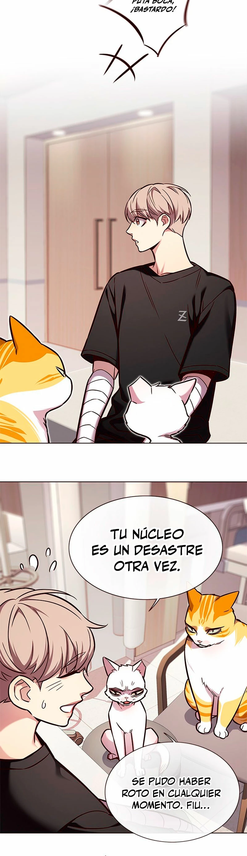 Página 17