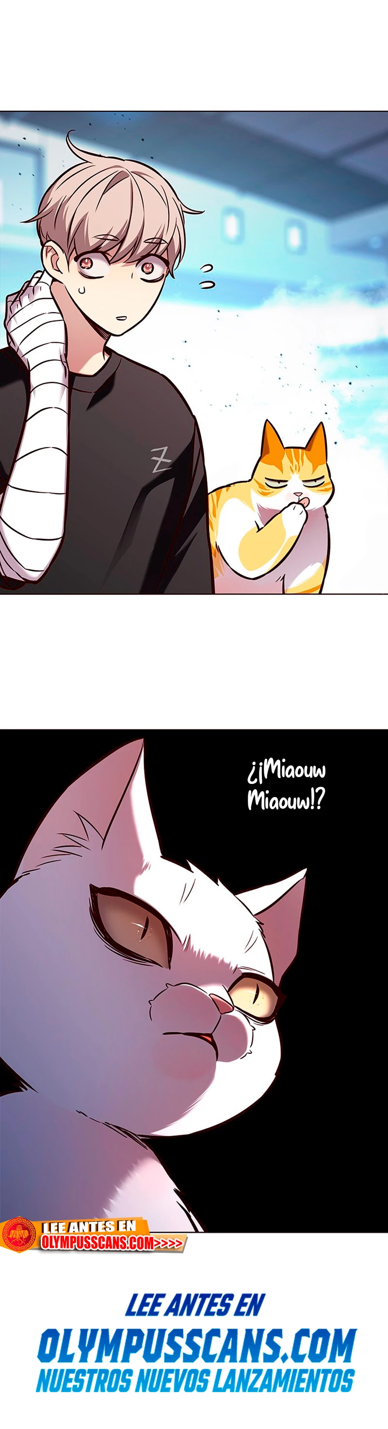 Página 48