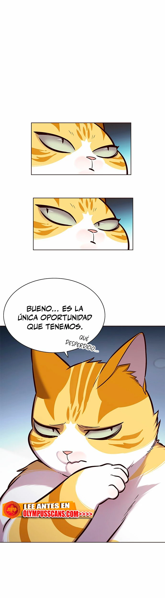 Página 40