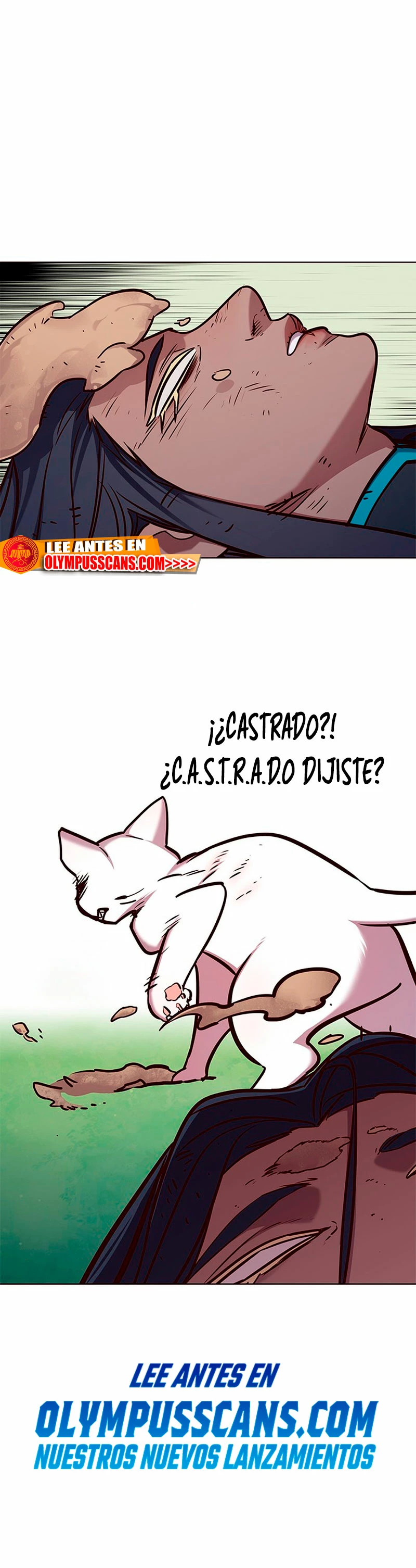 Página 40