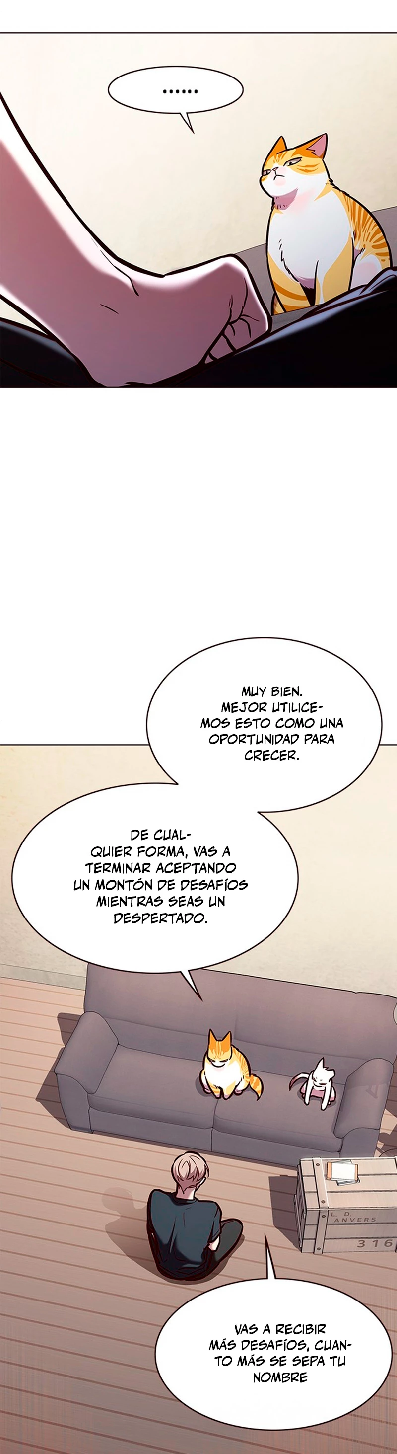 Página 17