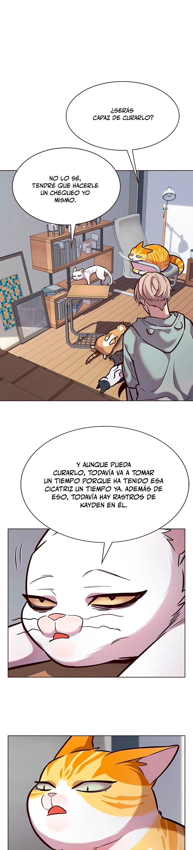 Página 3