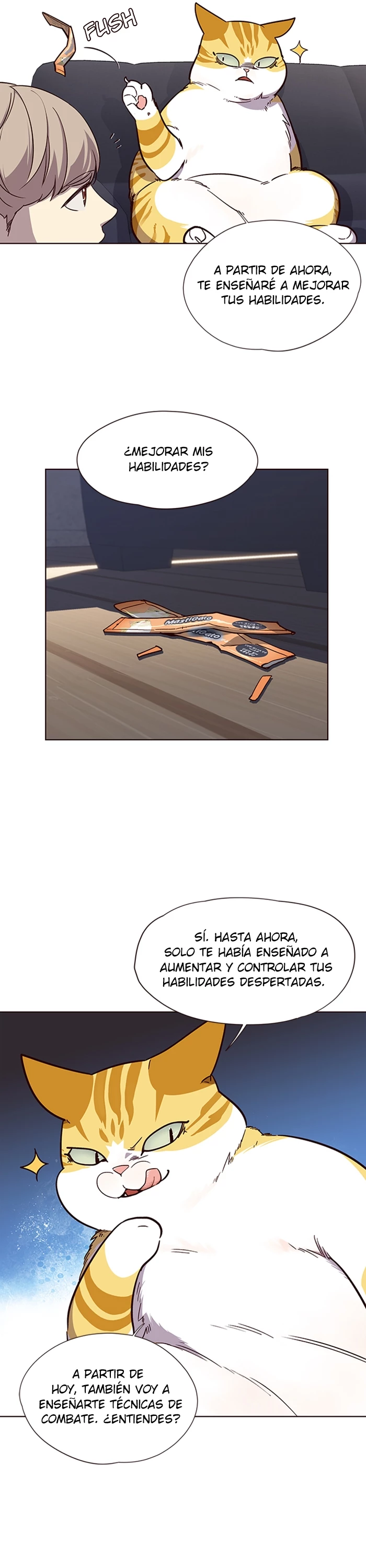 Página 11