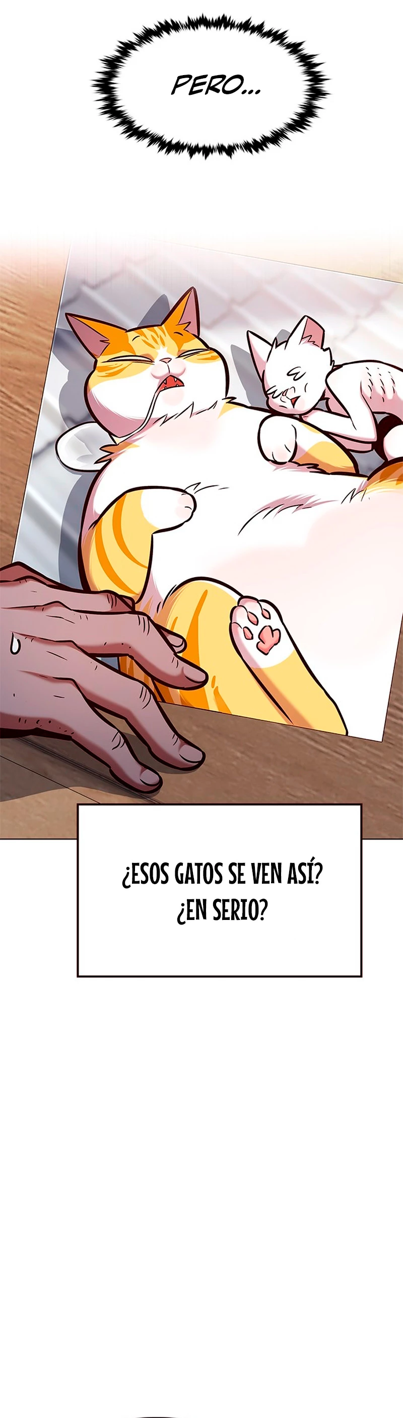 Página 31