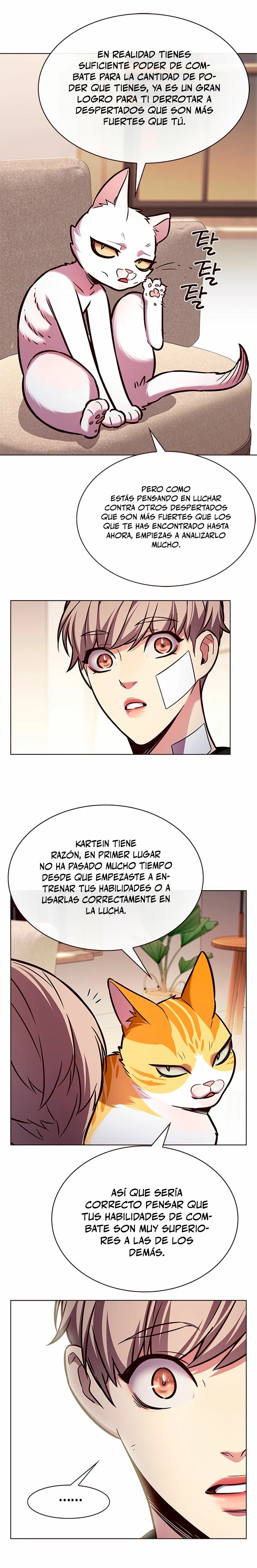 Página 19