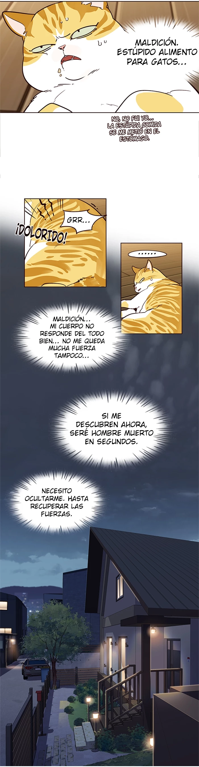Página 11