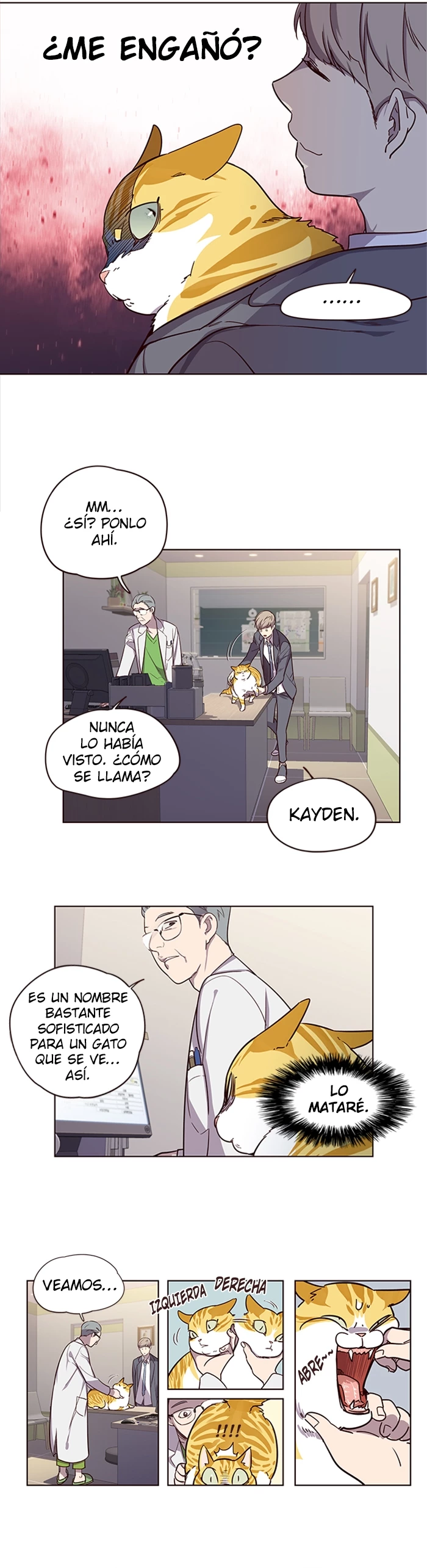 Página 17