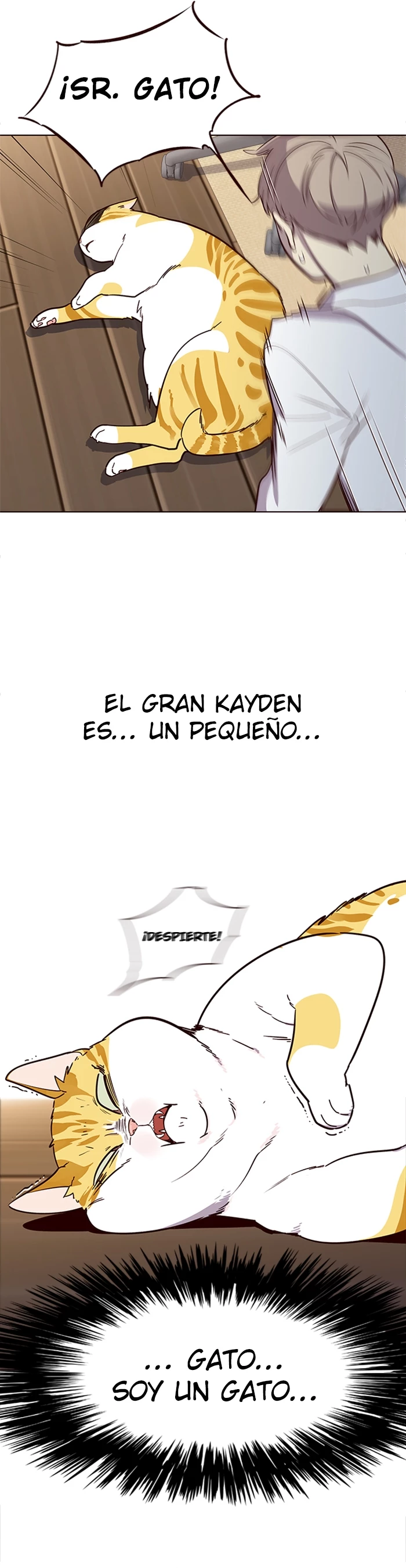 Página 2