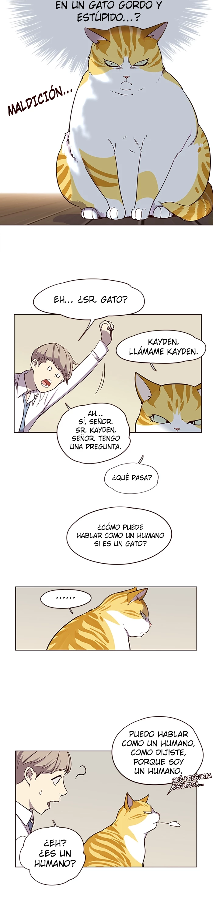 Página 5