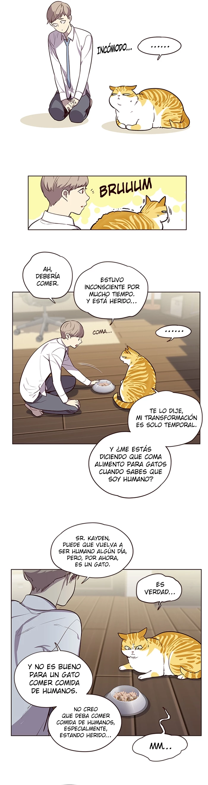 Página 8