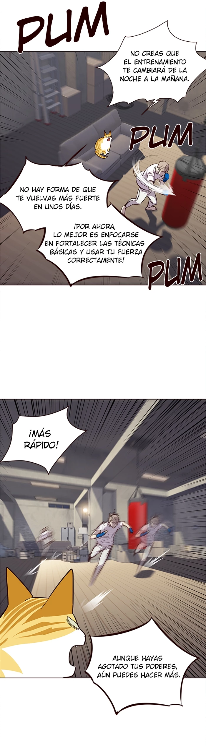 Página 28