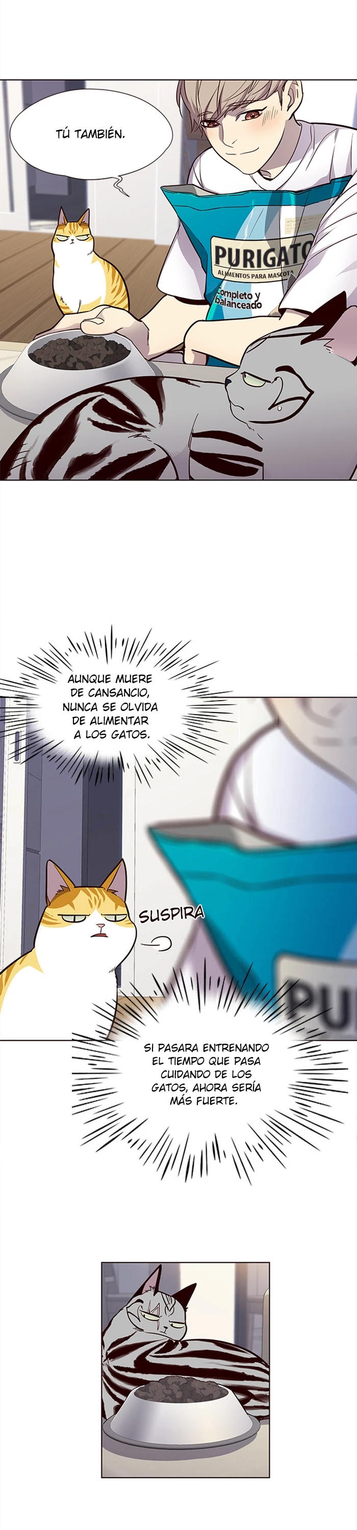 Página 11