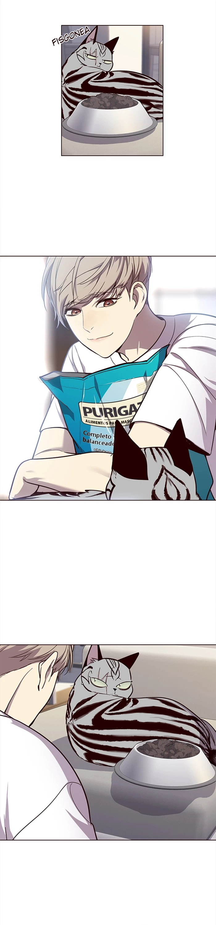 Página 12