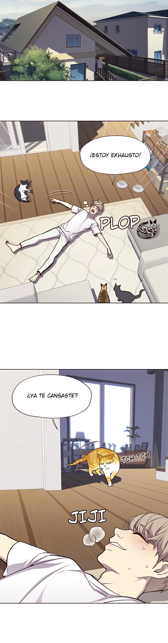 Página 5