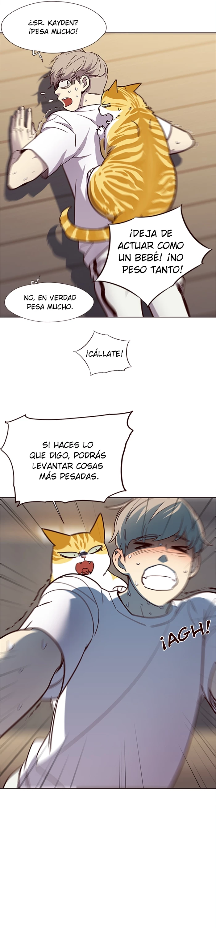 Página 11