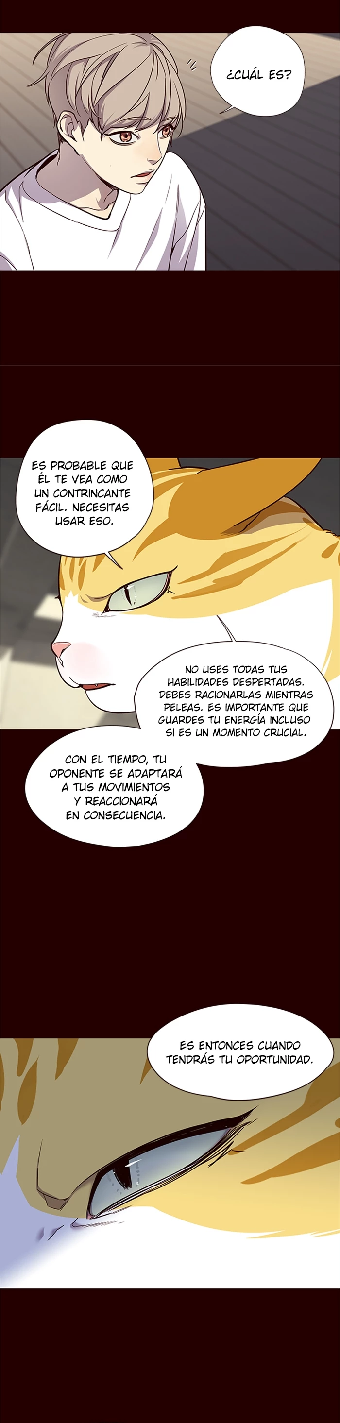 Página 17