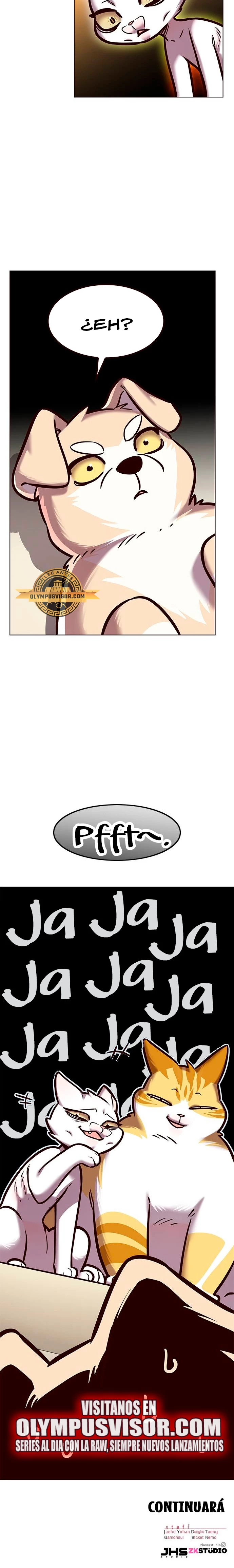 Página 31
