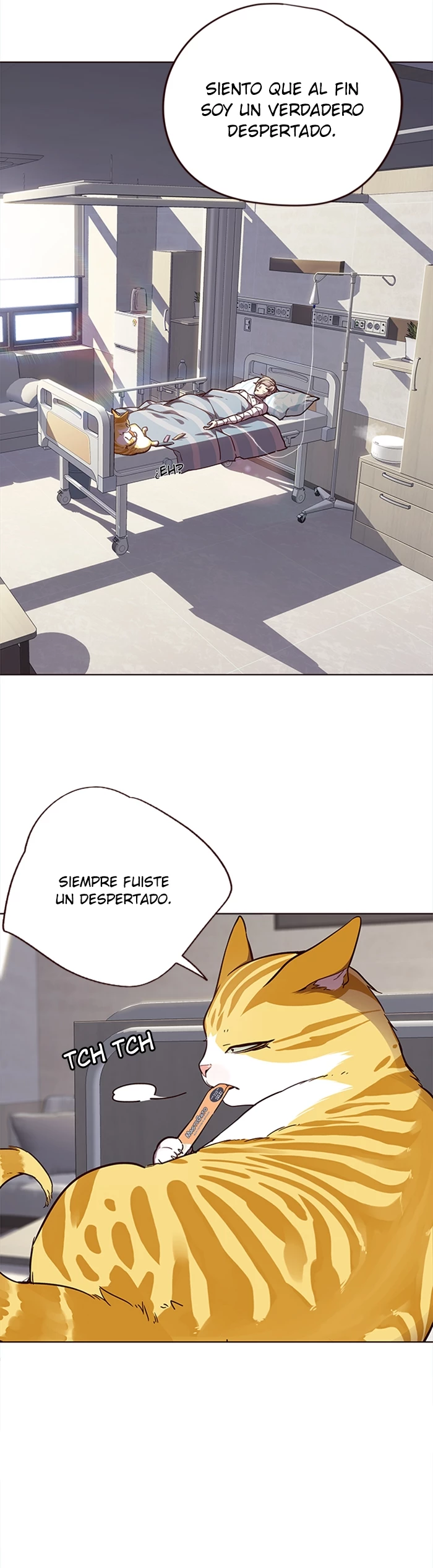 Página 7