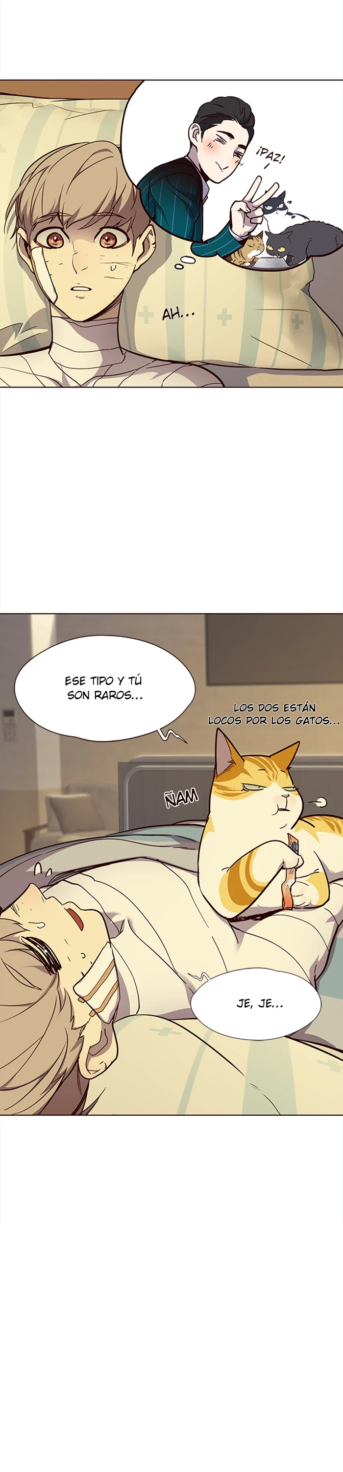 Página 4