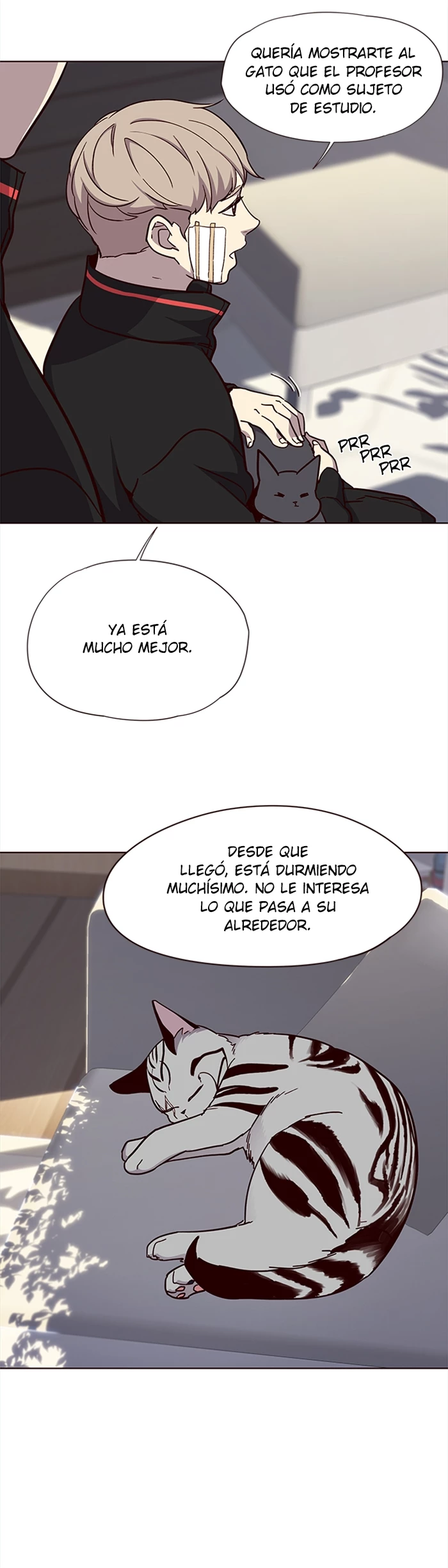 Página 29