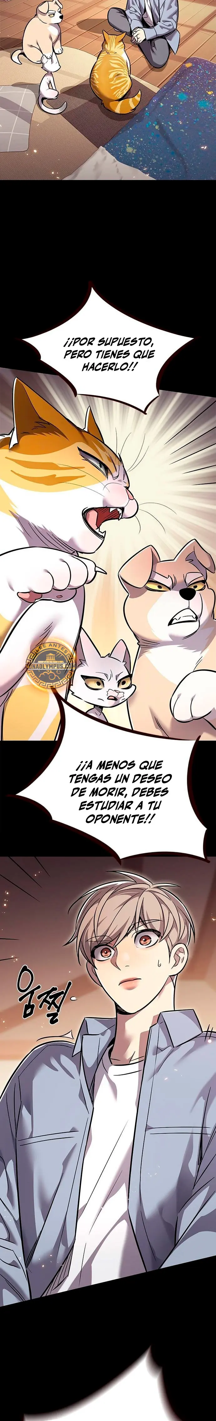 Página 31