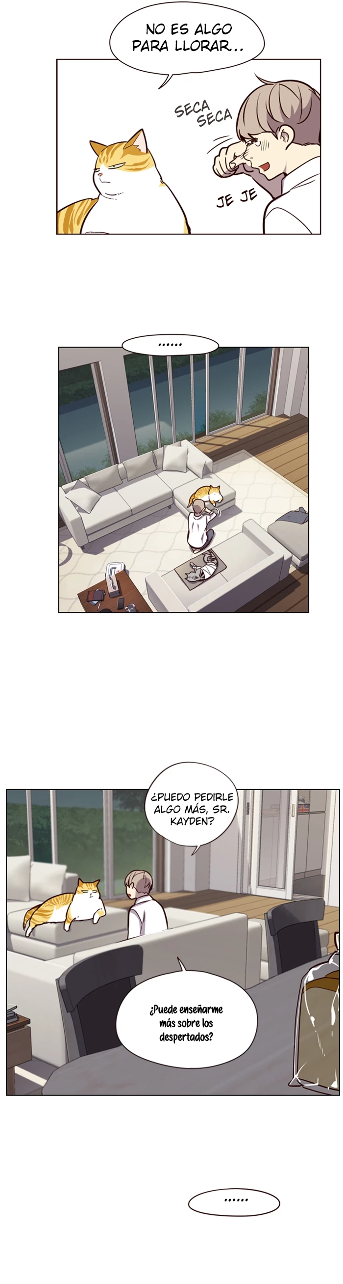 Página 19