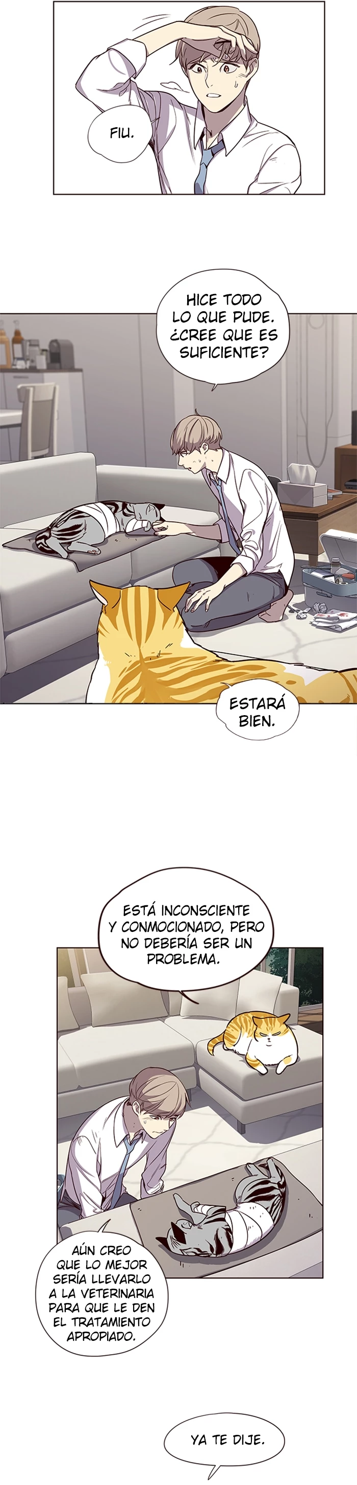 Página 6