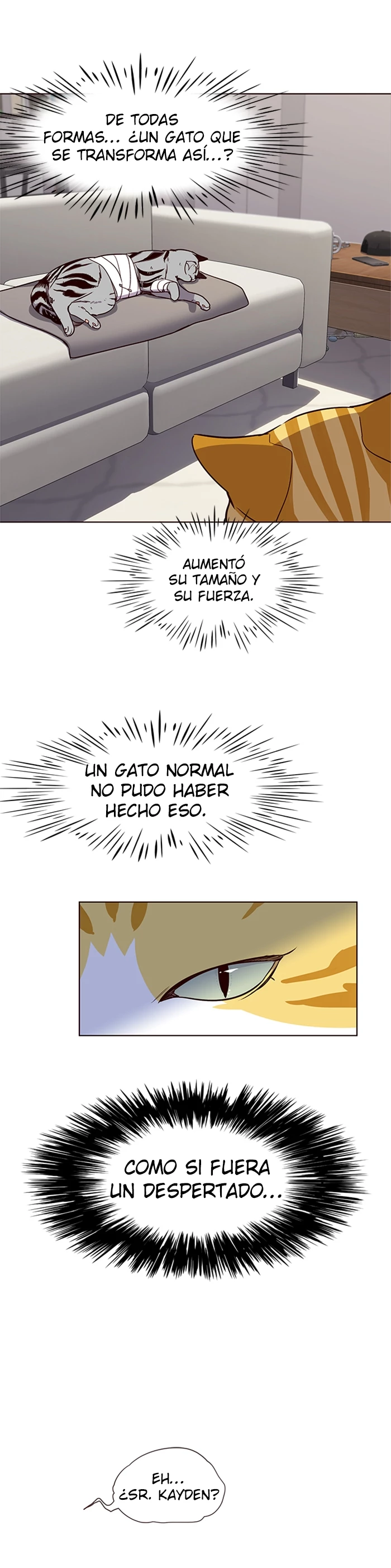 Página 8
