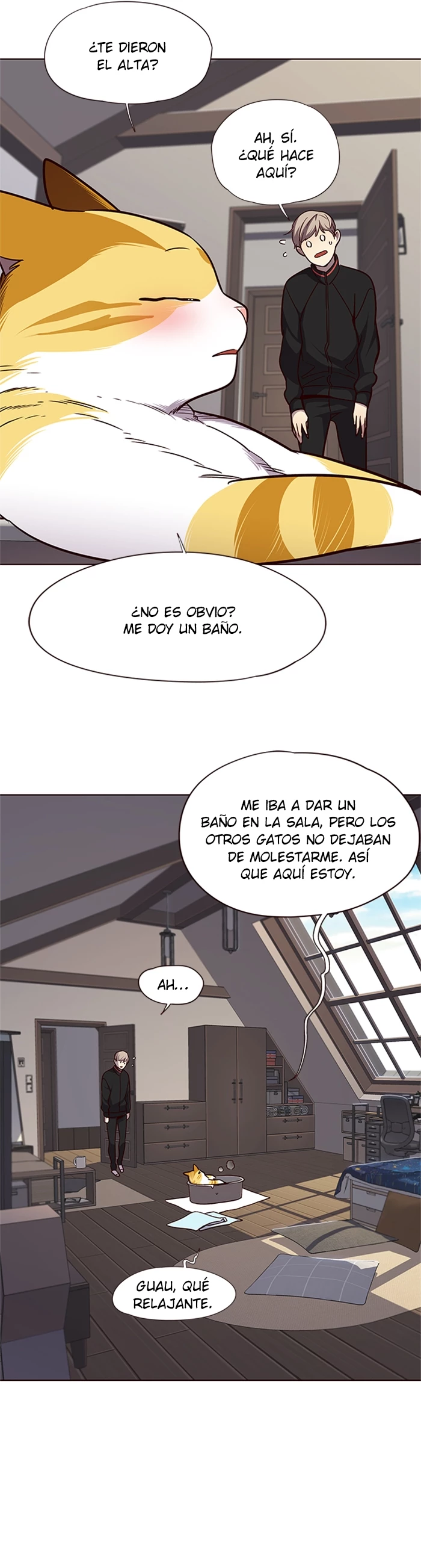 Página 16