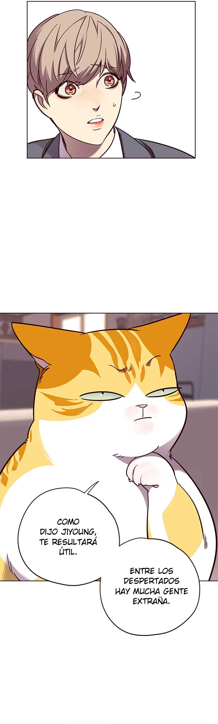 Página 31