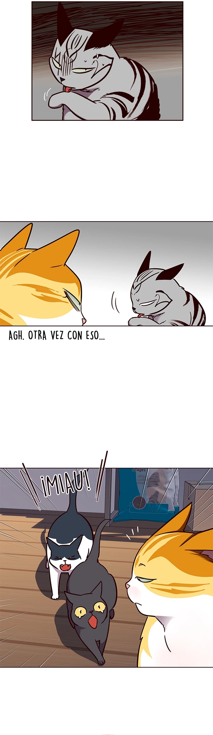 Página 17