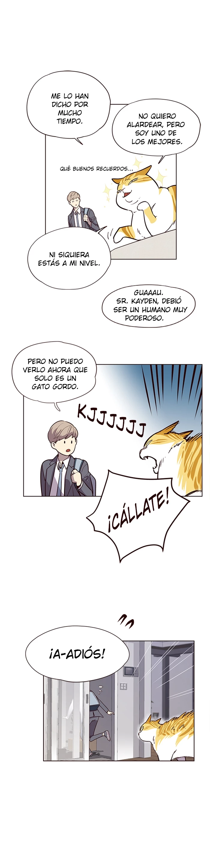 Página 17