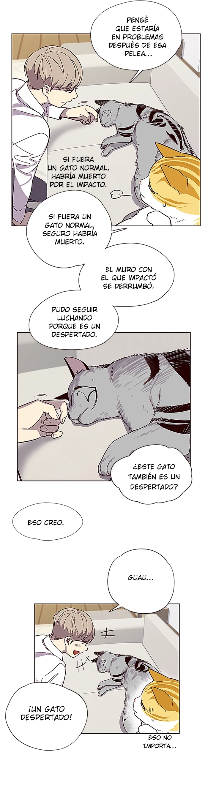 Página 3